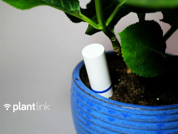 Plant sensor