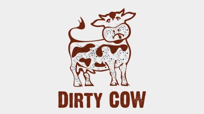 Dirty Cow