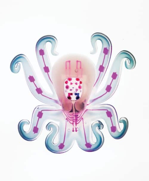 Octobot_5