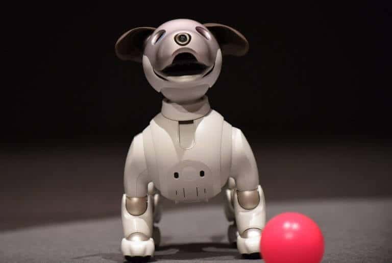 Aibo Sony Presented The Robot Dog Equipped With Artificial Intelligence ProDigital