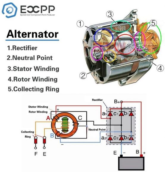 ECCPP 7776