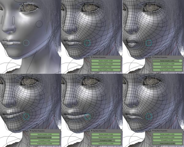 3D Animator