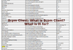 Scpm Client