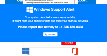 How to Remove Pornographic Virus Alert from Microsoft?