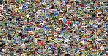Photo Management Software