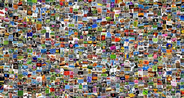Photo Management Software