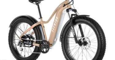 e bike
