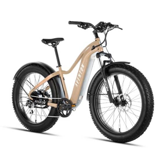 e bike