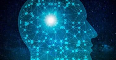 AI Within Small Business Operations