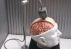 What is a Brain-Computer Interface?