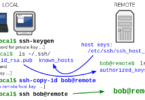 What is SSH or Secure Shell Protocol?