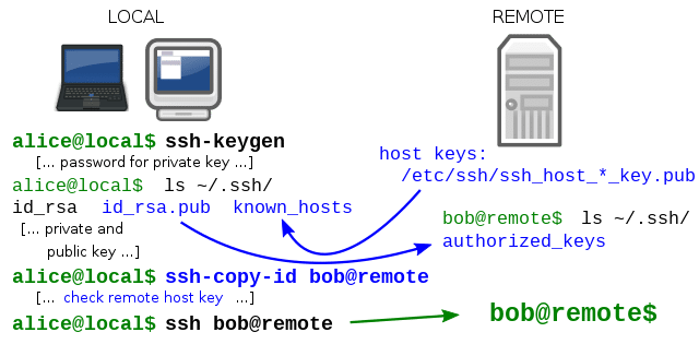 What is SSH or Secure Shell Protocol?