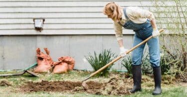 technology on gardening