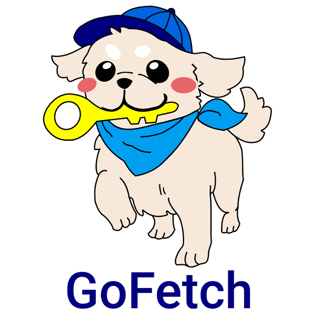 Go Fetch