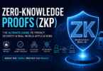 What Is Zero-Knowledge Proof (ZKP)?