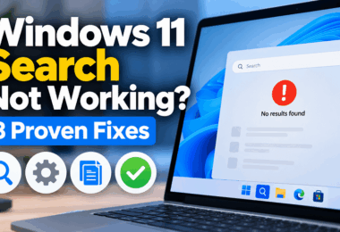 Windows 11 Search Not Working Ways to Fix It